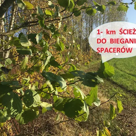 Na Zielonej Lace... *