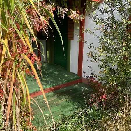 Na Zielonej Lace... *