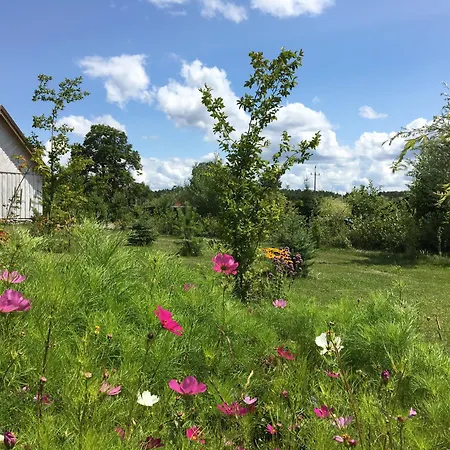 Na Zielonej Lace... Lantgård